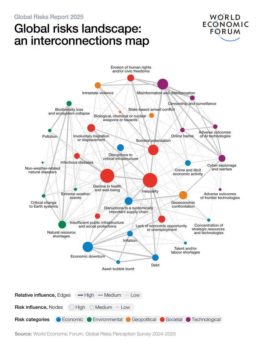 World Economic Forum Global Risks interconnection map
